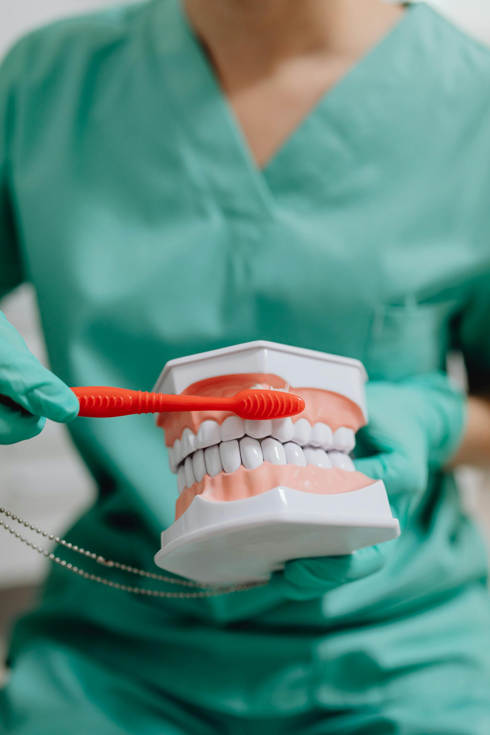 A dentist in scrubs demonstrates brushing technique using a dental model.